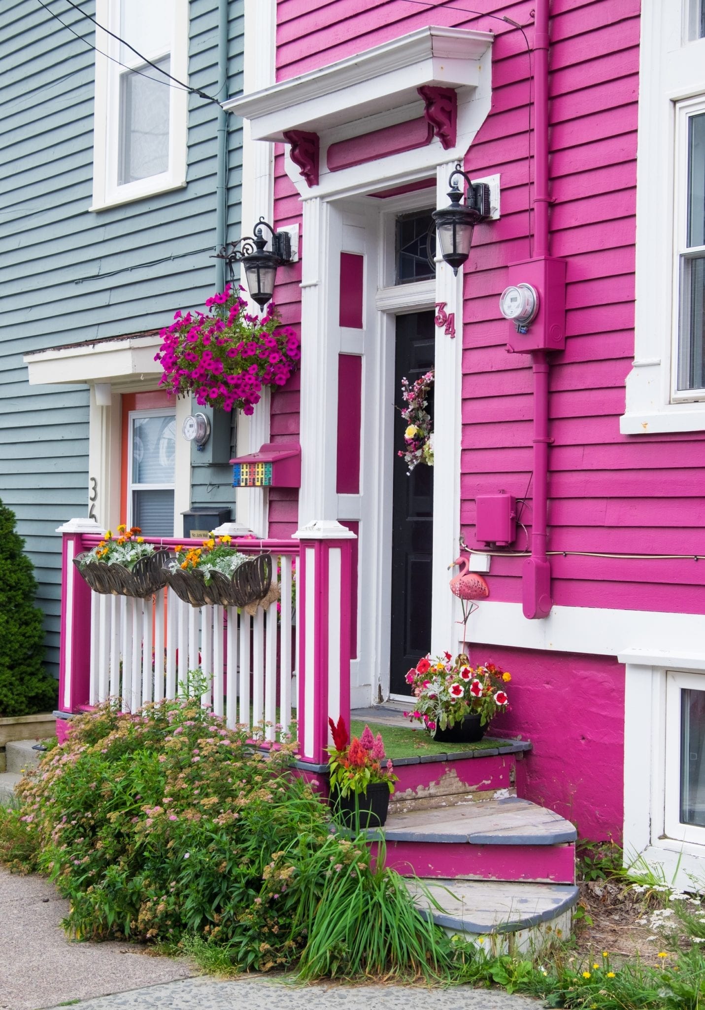 A bright pink house with a tiny porch and bushes and pink plants hanging, in St. John's, Newfoundland.