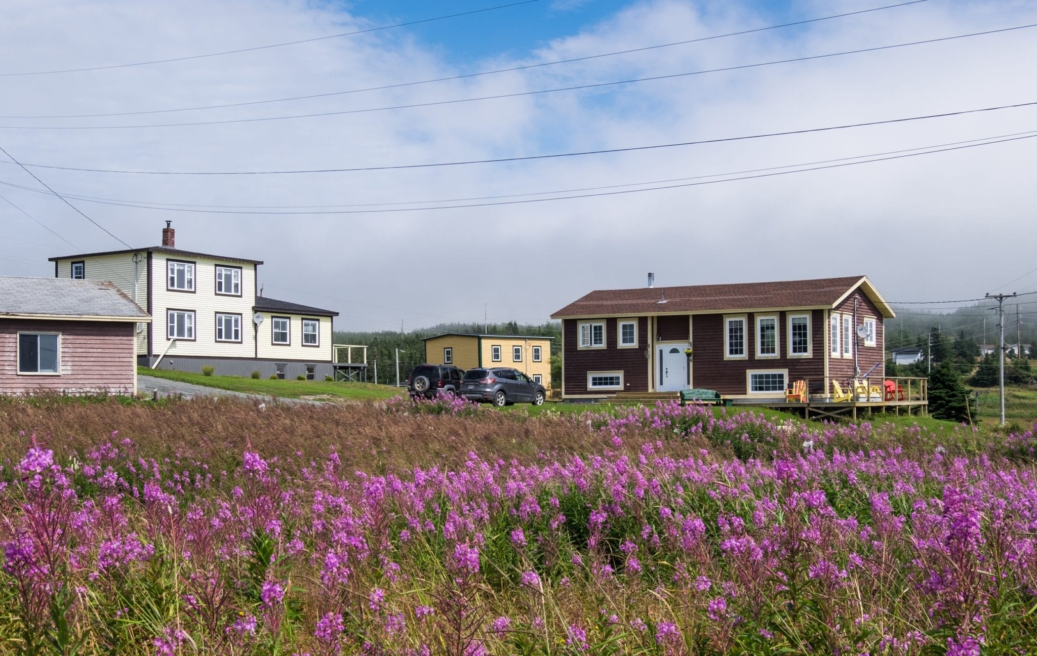 Cottages perched in front of a field of bright purple flowers underneath a cloudy blue and white sky.