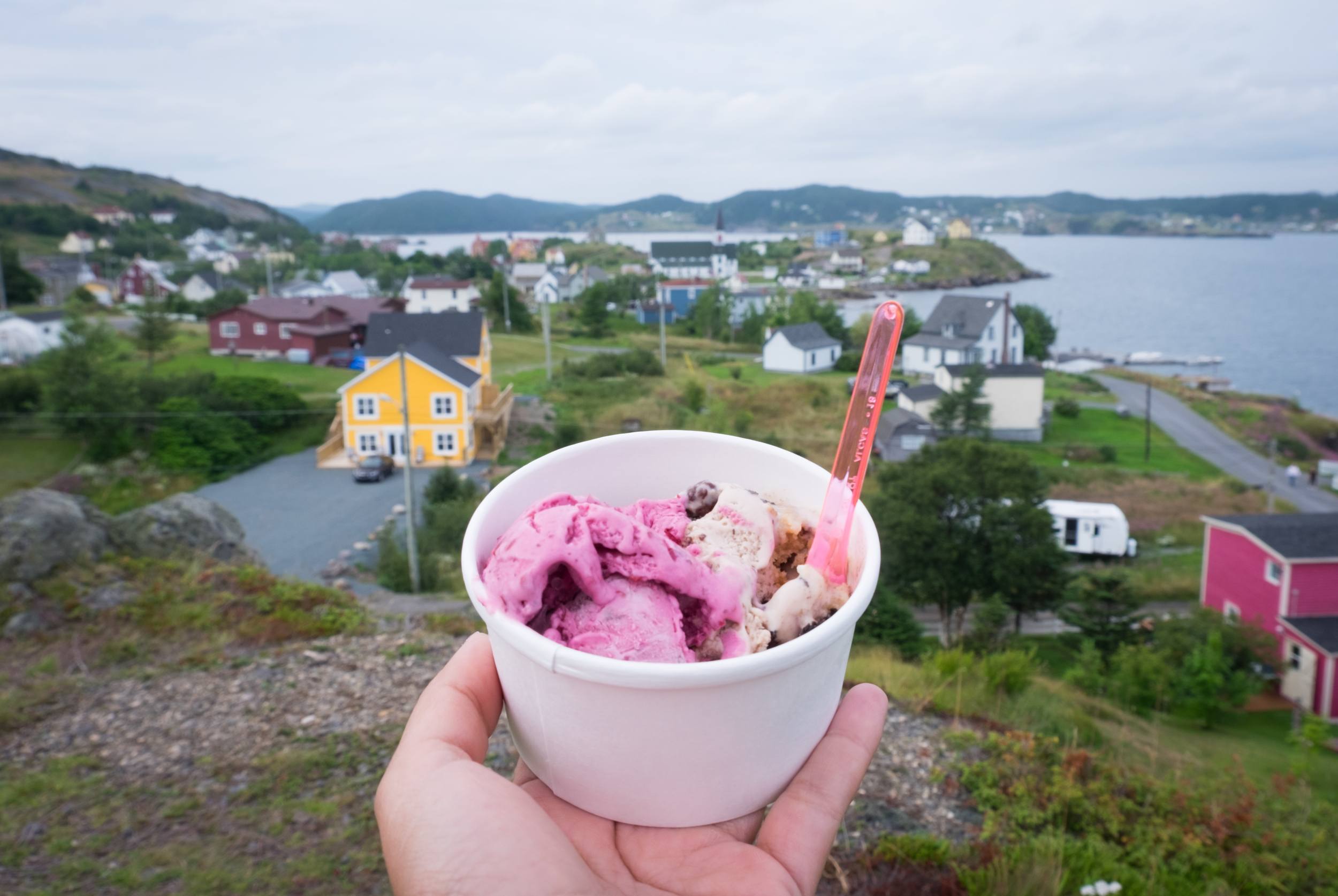 Kate holds a cup of purple partridgeberry ice cream in front of a panorama of the town of Trinity, still with brightly colored cottages but now under a cloudy sy.