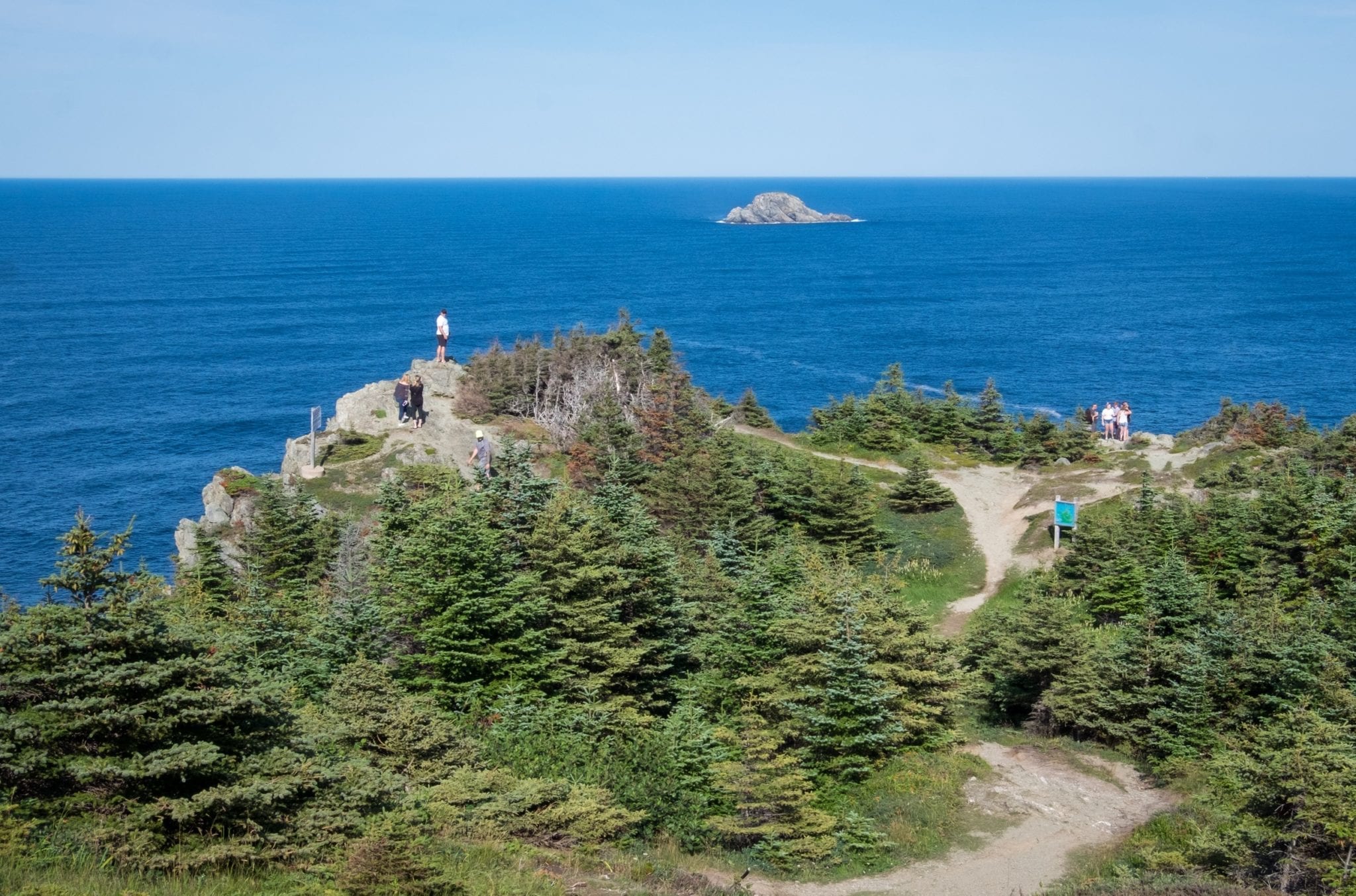 Hiking trails through the woods leading to cliffs dropping into the ocean.