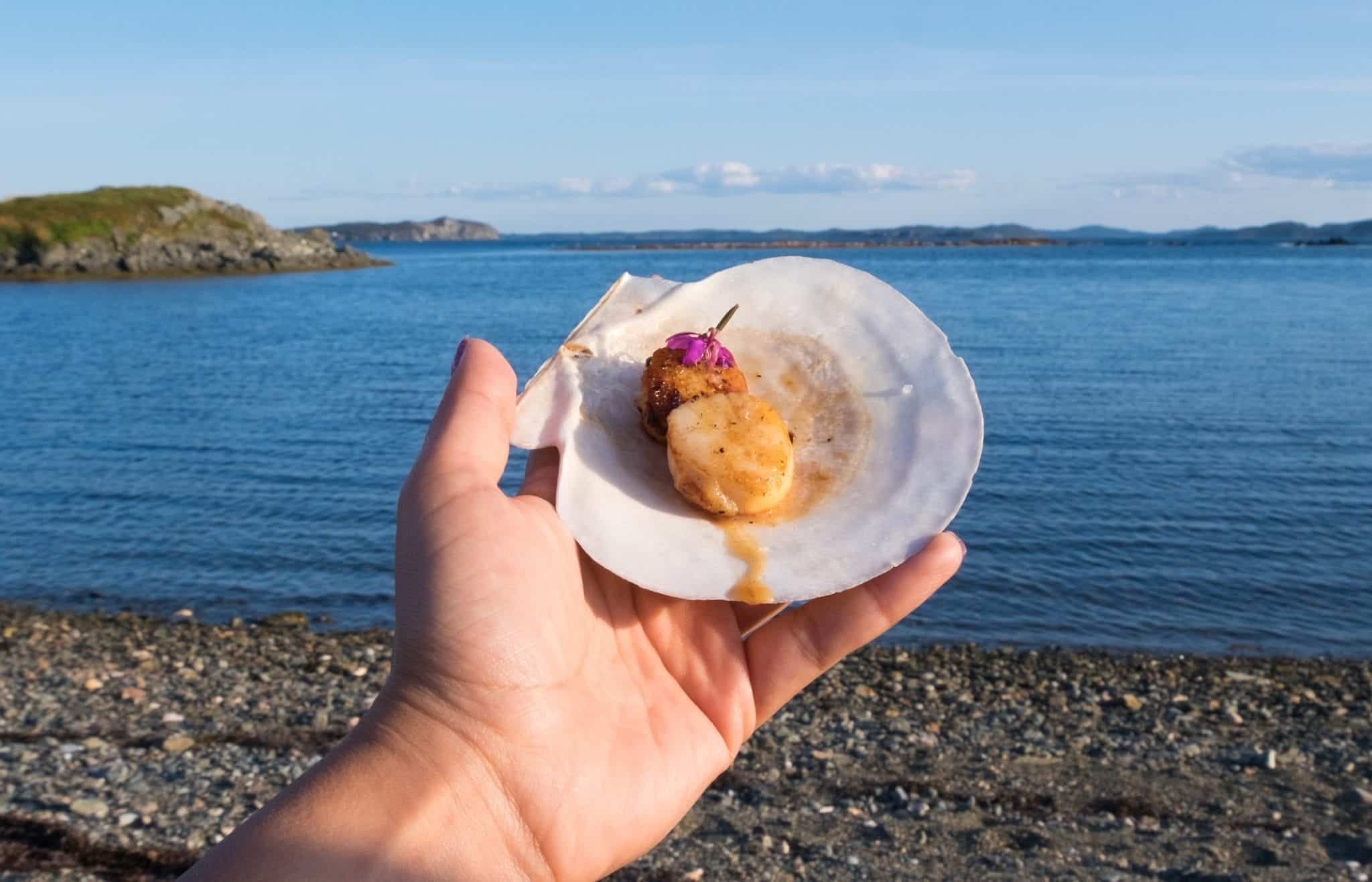 A hand holds up a scallop shell with a cooked scallop inside it, topped with a purple flower. In the background is the bright blue sea.