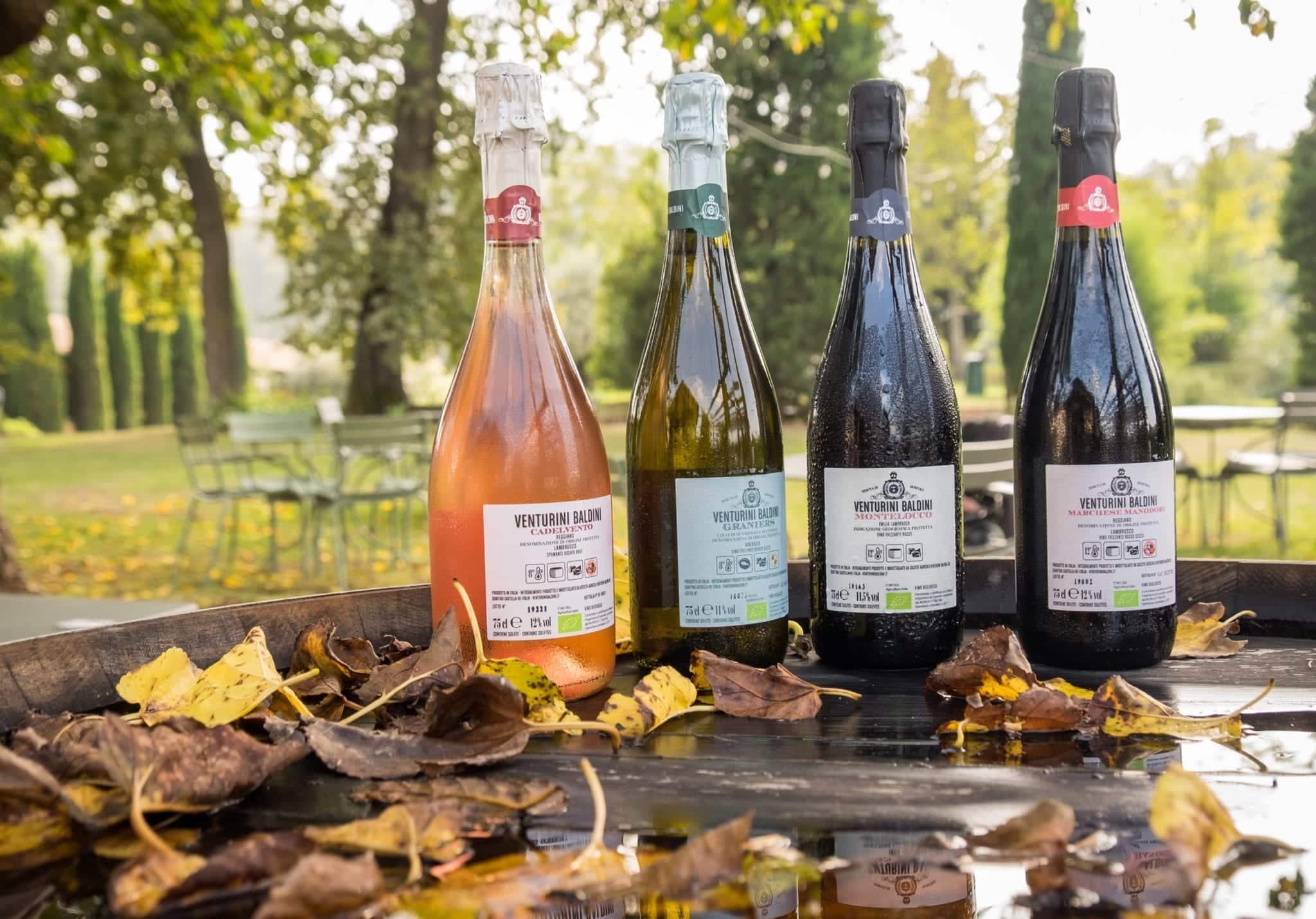 Four wine bottles (one rose, one white, two red) resting on a bottle surrounded by brown leaves, greenery in the background.