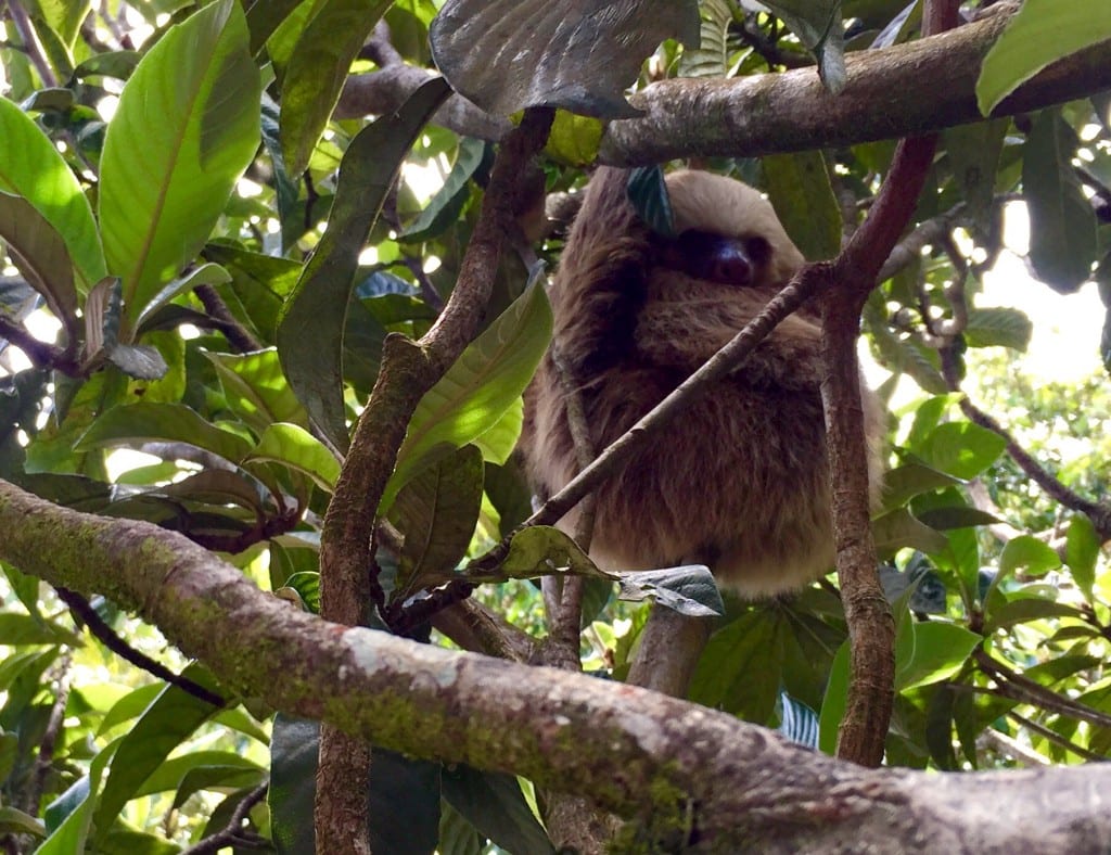 woman solo travel costa rica