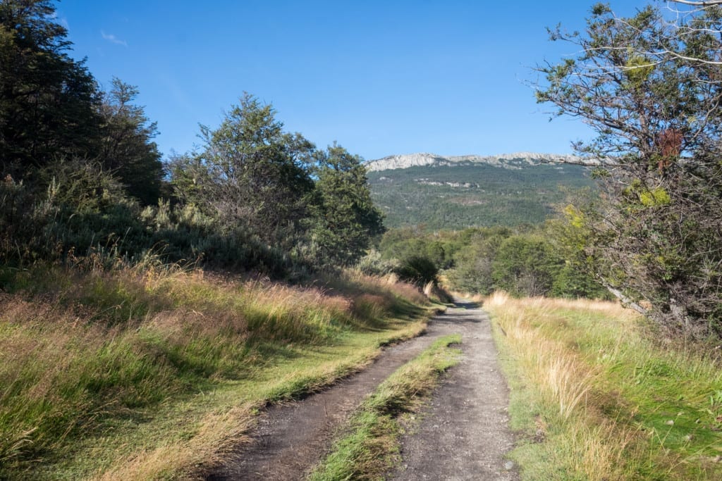 A path leading through Tierra del Fuego National Park.