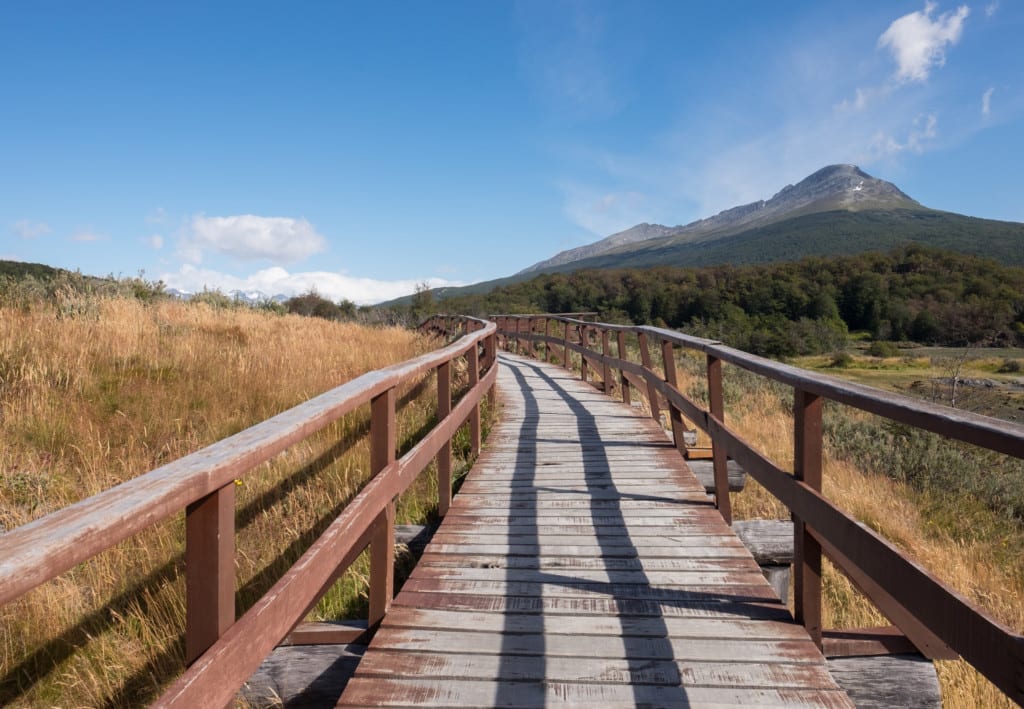 A weathered brown plank walkway over the yellow grasses of Patagonia.