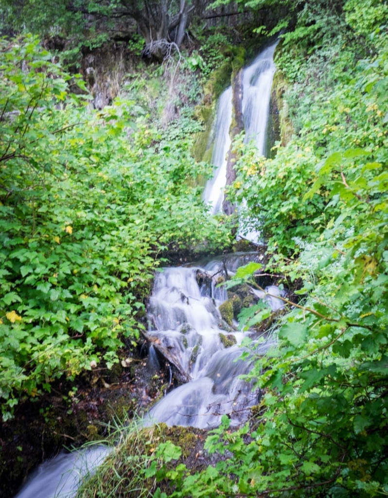 A waterfall surrounded by bright green vegetation.