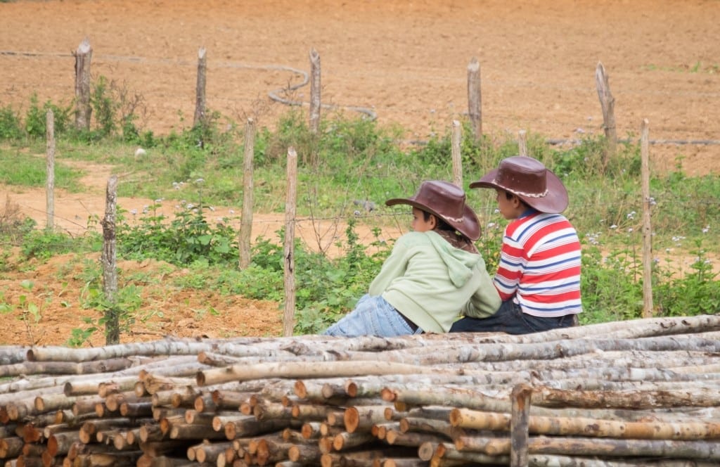 Two young boys in striped shirts and cowboy hats leaning on a pile of wood in front of a green field.