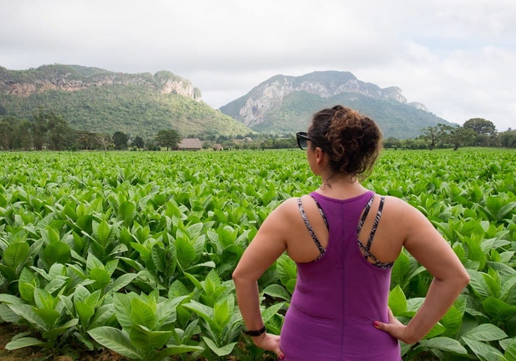 Kate standing in front of green tobacco fields, facing away, in a purple workout top.