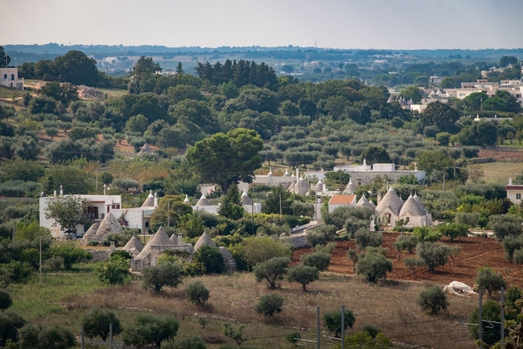 A group of white pointy trulli homes surrounded by trees in the Puglia countryside.