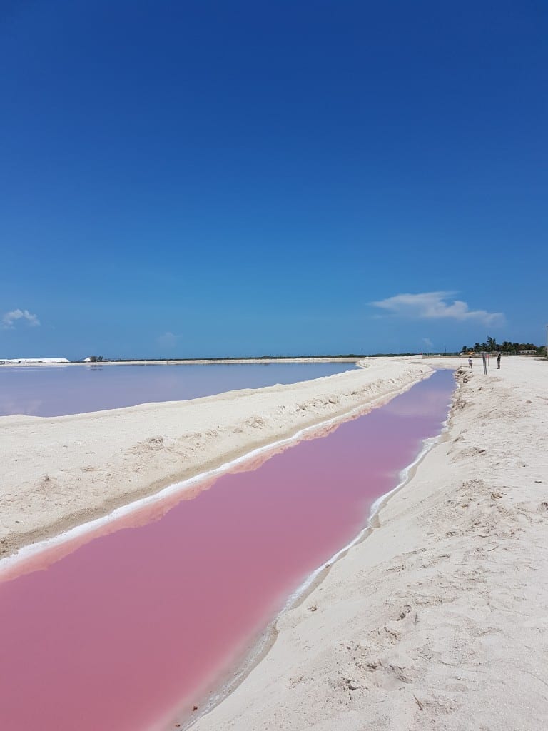 A bright pink lake changing to blue underneath the sky.