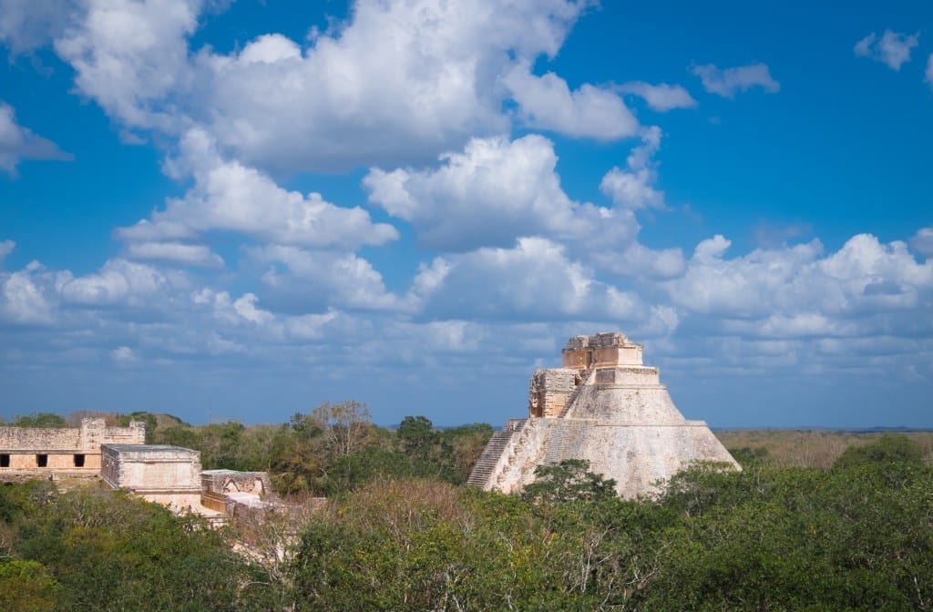 A mayan pyramid peeking out of the forest.