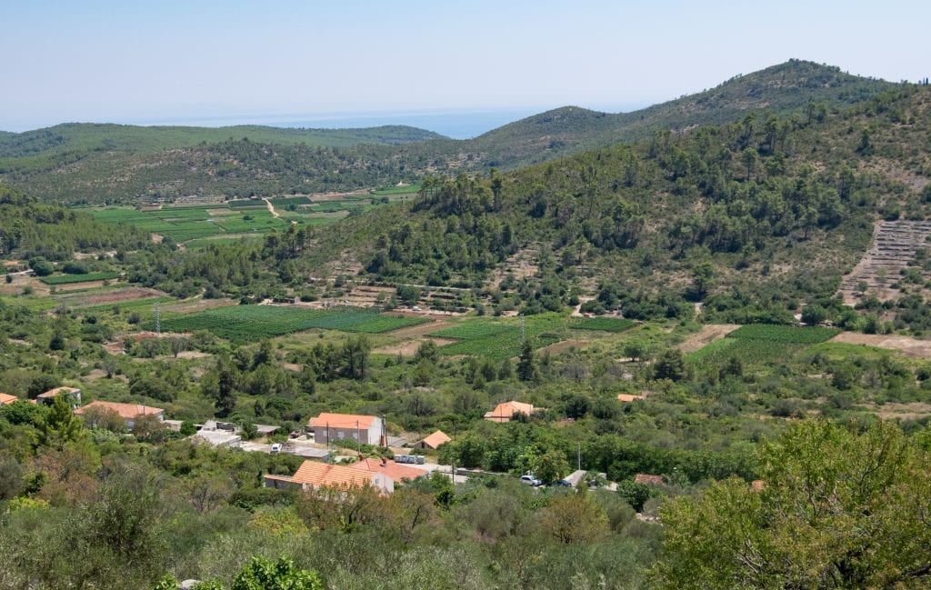 Another mountain scene with vineyards in a valley, surrounded by lush green hills.