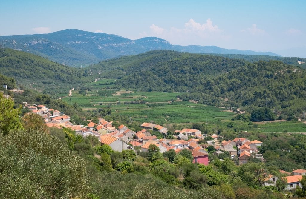 A mountainside country setting with orange-roofed houses built into a steep hill, and rows of vineyards in the valley.