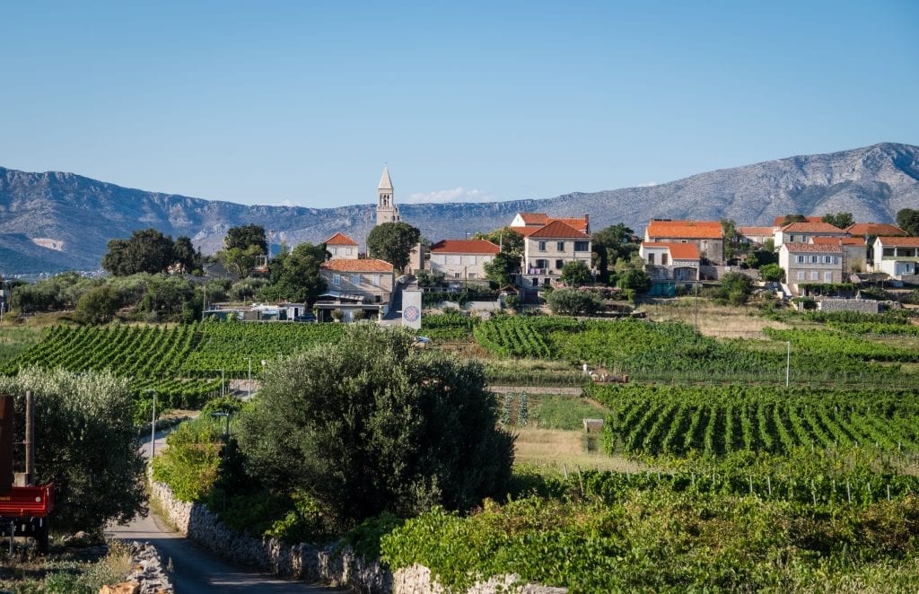 The green vineyards of Lumbarda with a small village of orange roofs in the distance.