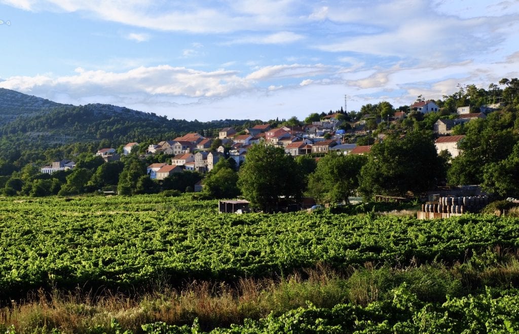 Farmland in Peljesac, with stone farmhouses in the background.