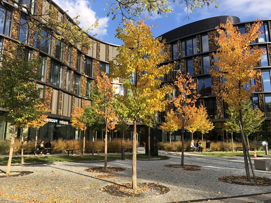 A wavy modern office building with panels of autumn leaves in between dark glass windows, yellow and orange trees in the foreground.