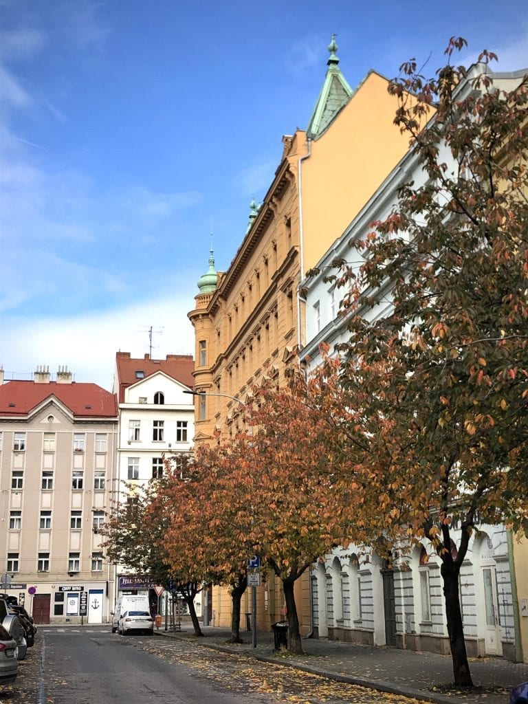 A yellow building in Karlín in the background, several trees with red-brown leaves in the foreground.