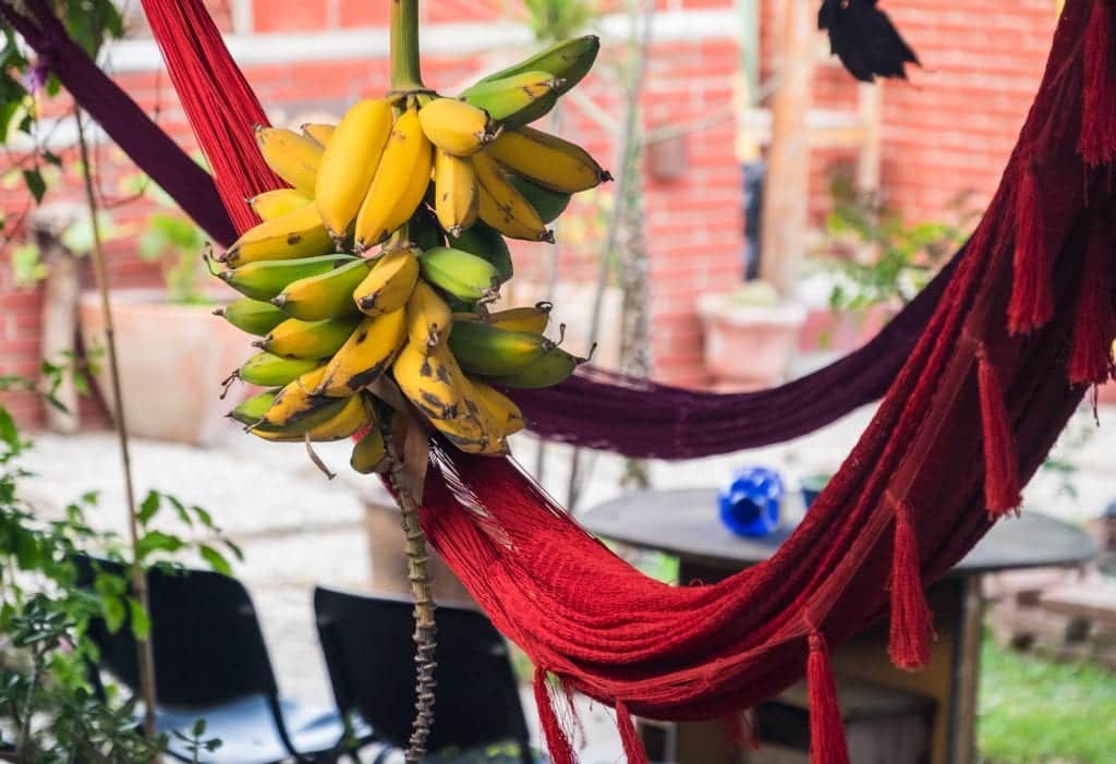 A bright red fabric hammock with tassels; a bunch of several bananas hangs off it.