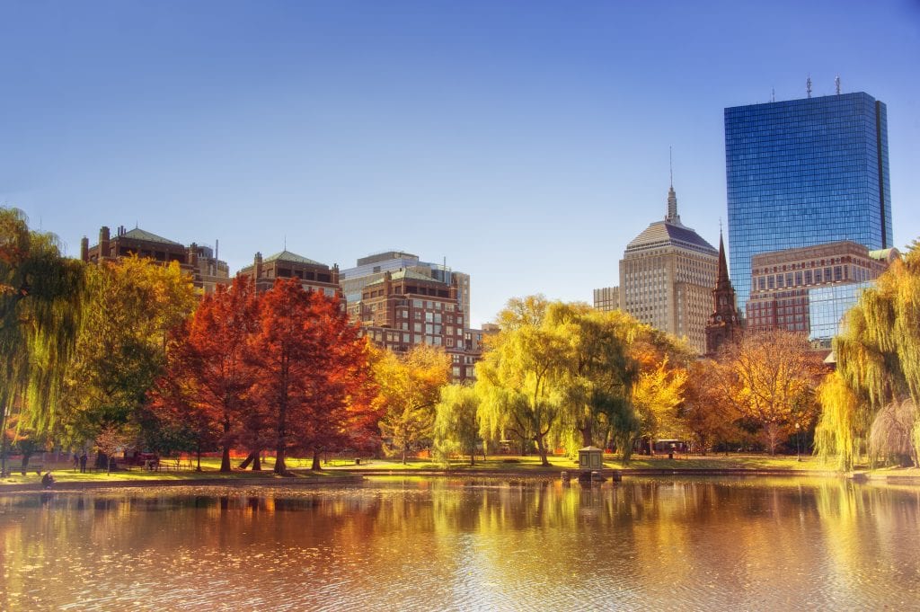 Boston's public garden in the fall: you see the pond surrounded by red, orange, and yellow trees, skyscrapers in the background.
