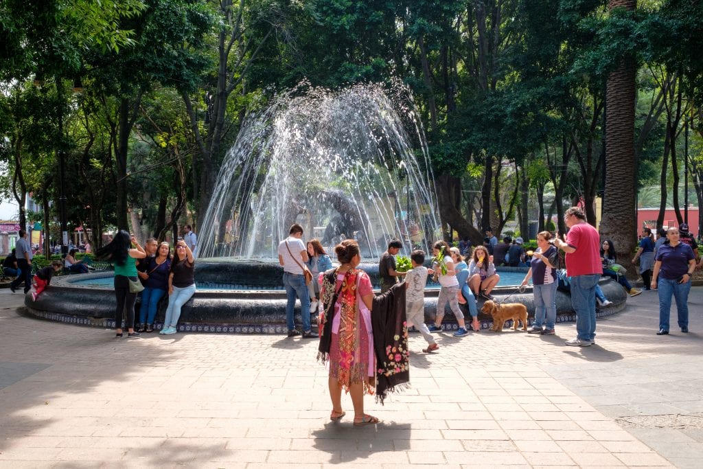 Coyote Fountain in Coyoacan