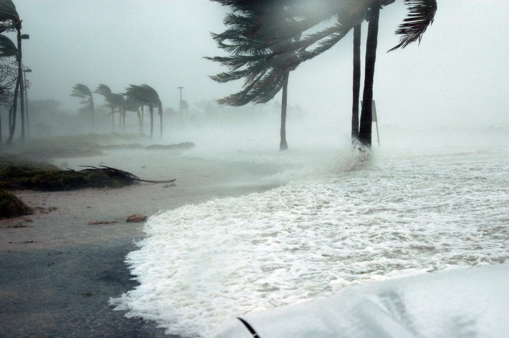 A stormy gray scene on the beach in Key West, with foaming gray ocean storming onto the beach and palm trees flying sideways from the wind.