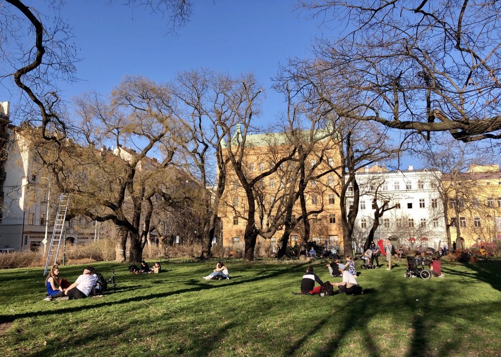 A few dozen people sitting on the grass in a park in Prague, bare trees rising around them. You can see it's a beautiful day with a perfect blue sky.