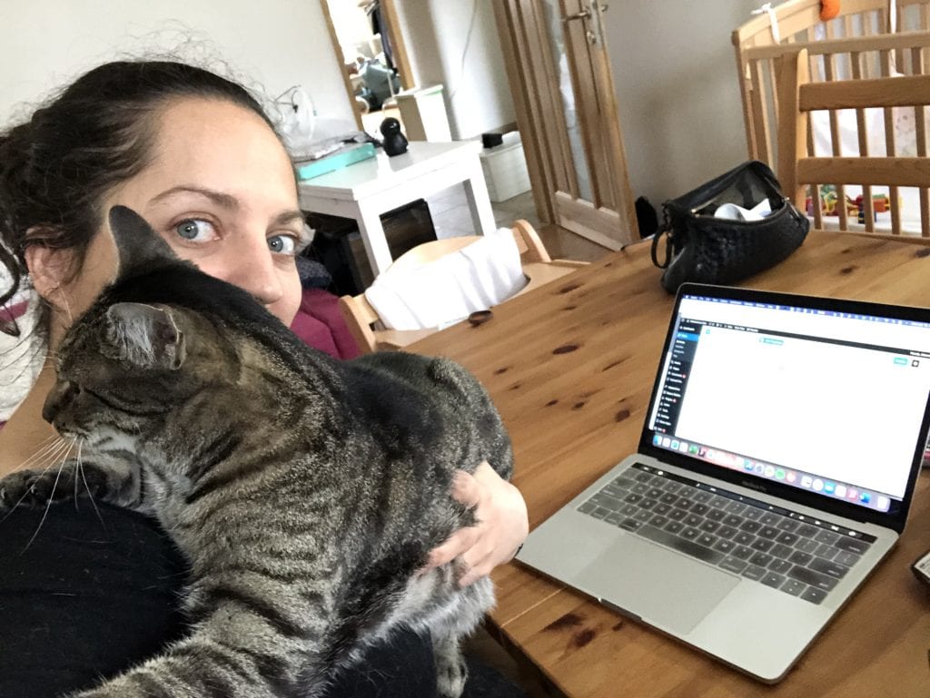 Kate working on her laptop as a gray tabby cat climbs on her shoulder.