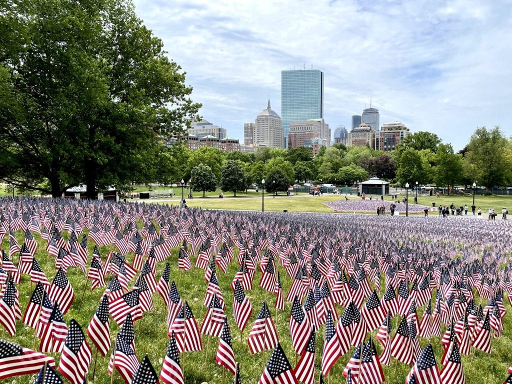 Thousands of mini American flags perched on the grass on Boston Common; in the background, you can see Boston's skyscrapers.