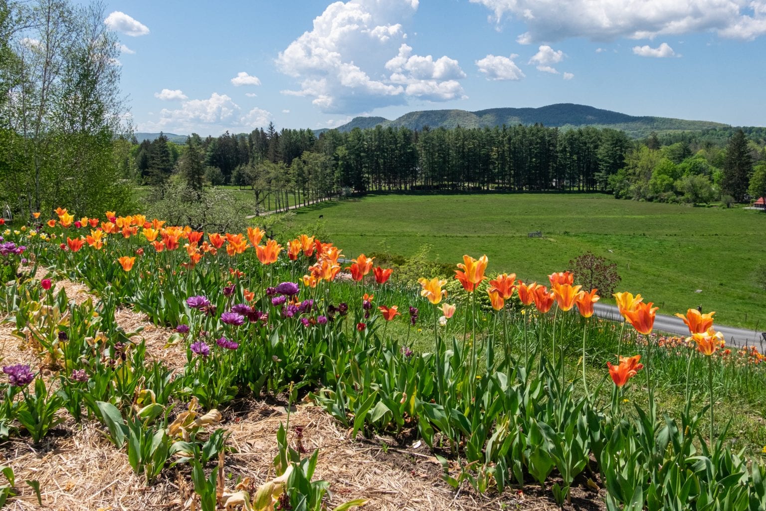 33 Best Things to Do in the Berkshires Adventurous Kate
