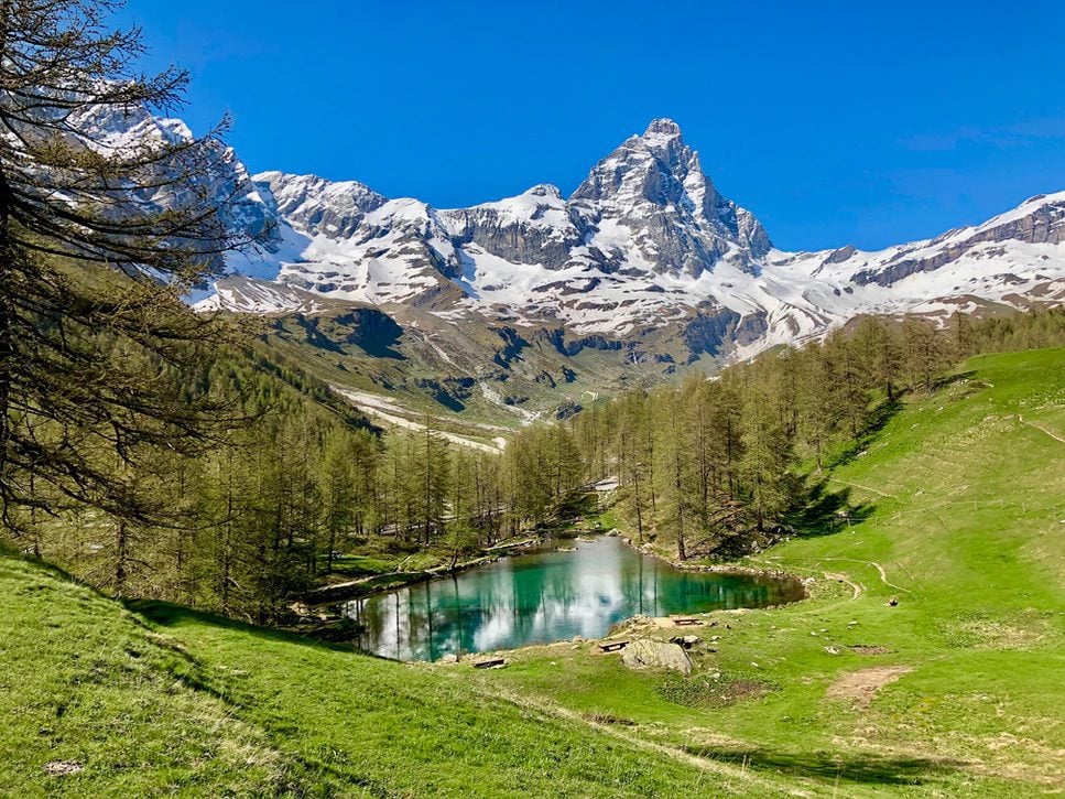 The pointy snow-covered mountain of the Matterhorn in the background.In the foreground: a green glassy lake surrounded by pine trees and green grass, all underneath a bright blue sky.