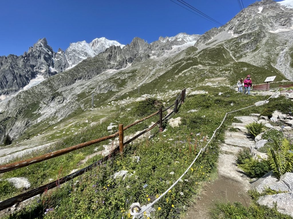 A mountainside with grassy growth and some yellow and purple wildflowers and a wooden fence. In the distance you see gray jagged mountain peaks, then behind them, snowy peaks, including the slightly rounded top of Mont Blanc.