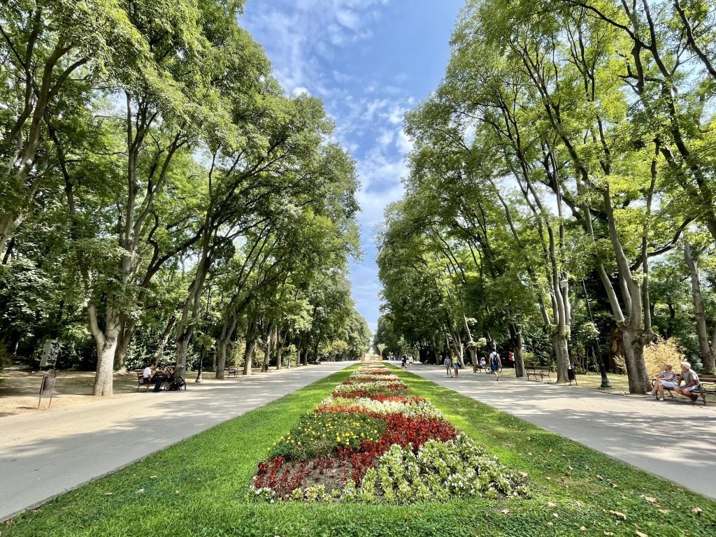 A park in Varna with a big grassy divider running down the street, topped with green and red flowers in a swirling pattern.