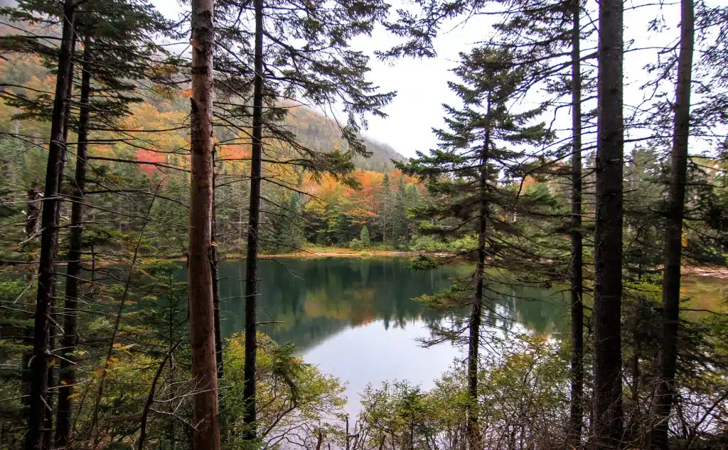 A still dark green lake on a cloudy day, edged with evergreen trees. In the background you see some trees are turning yellow, orange, and red.