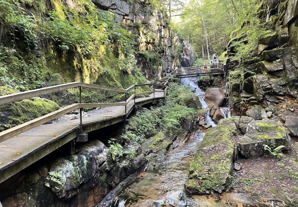 A wooden walkway passing through a two rock walls, everything covered with mosses, ferns, and greenery, as a small river flows underneath.