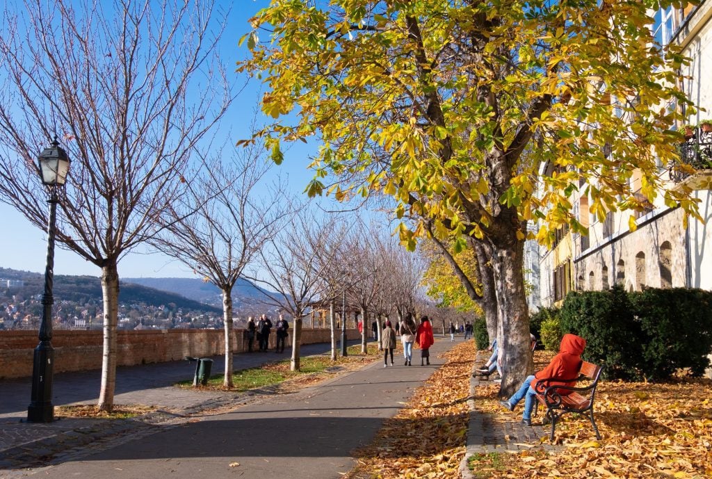 A woman in a red hooded coat sitting on a park bench underneath a bright yellow tree and blue sky in Buda.