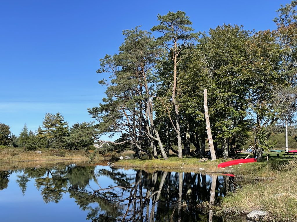 A pond perfectly reflecting the blue sky and trees, a red canoe on shore.