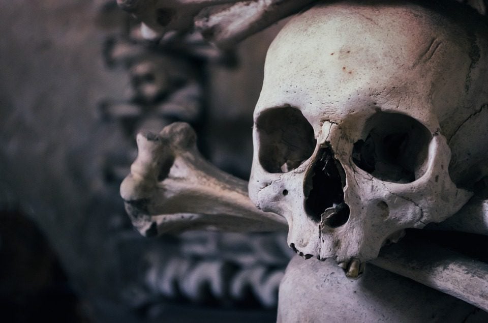 A close-up skull in the bone chapel of Sedlec Ossuary.