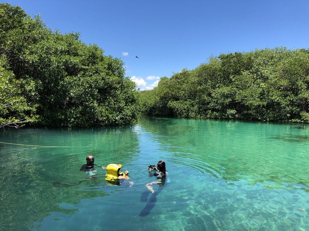 Three people swimming in a cenote that looks like a bright green lake set among the forest.