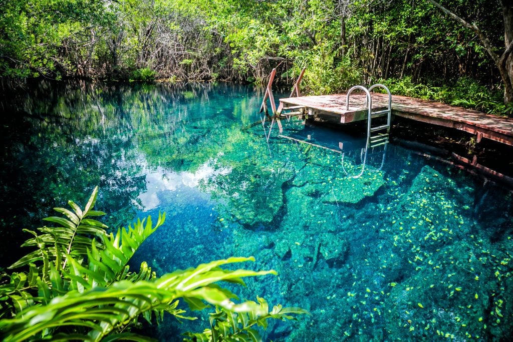 Bright turquoise outdoor cenote, with a wooden platform and ladder leading into the water.
