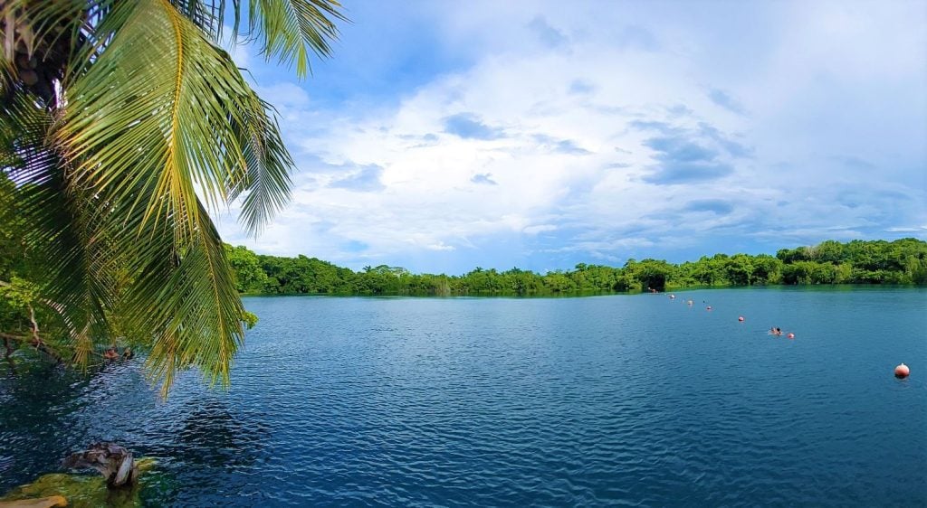 A cenote that looks like a big, blue lake, surrounded by lush trees.