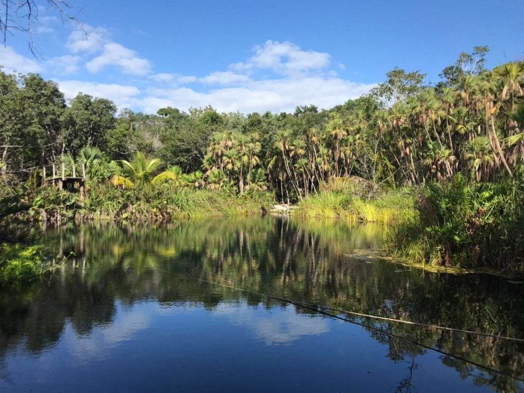 A large reflective open cenote that looks like a pond, surrounded by palm trees.