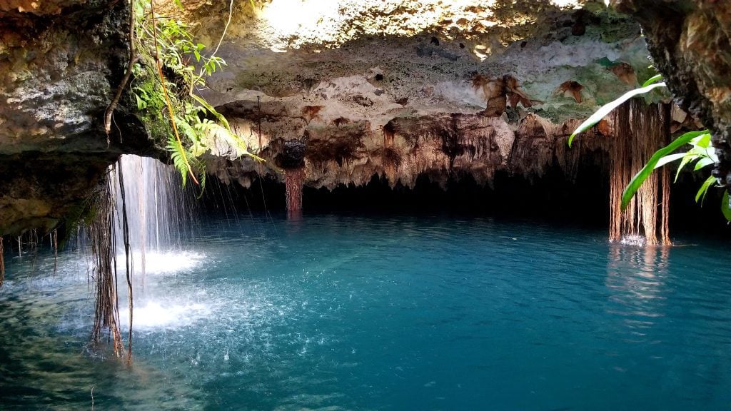A dark teal cenote surrounded by a cave ceiling with lots of vines hanging in it.