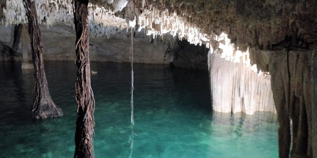Vines hanging from a cave ceiling into a blue-green cenote.