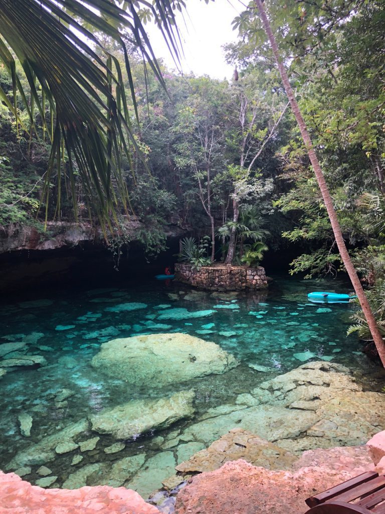 A turquoise outdoor cenote, part of which has a cave ceiling hanging over it.