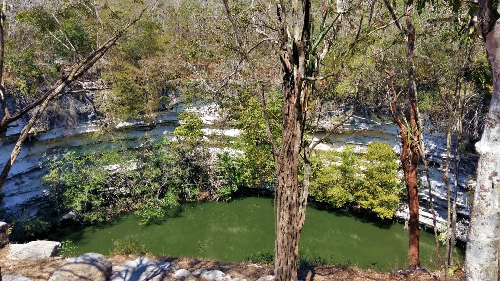 White limestone walls surrounding a stagnant-looking bright green cenote. Nobody around it because nobody is allowed to get that close.