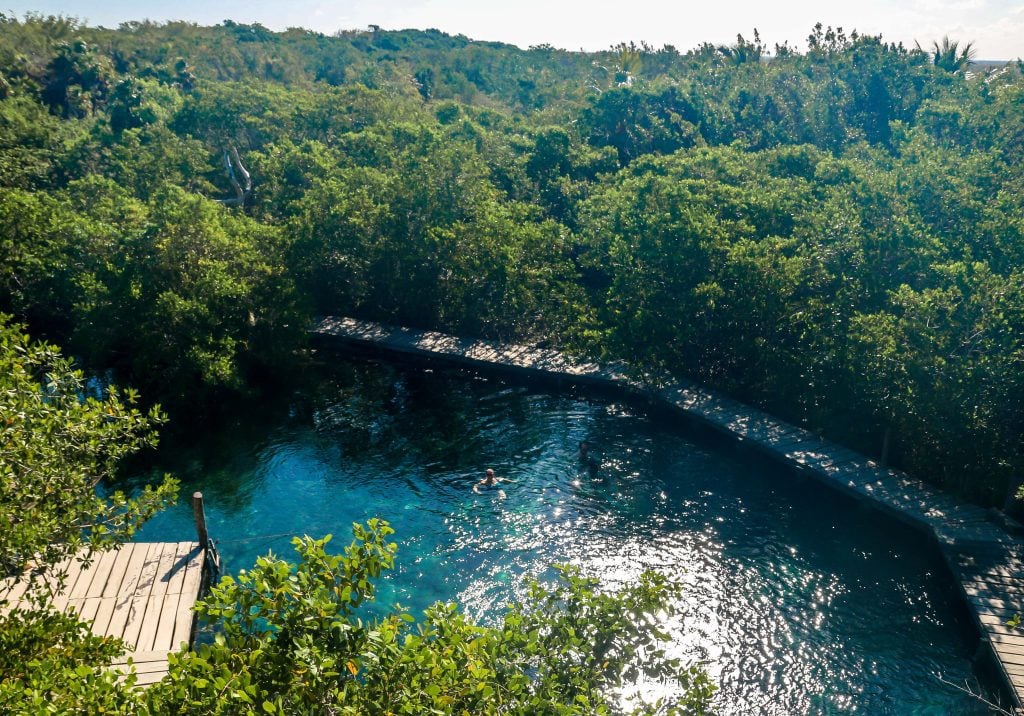 A dark green teal cenote in the middle of the jungle, a woman swimming inside it.