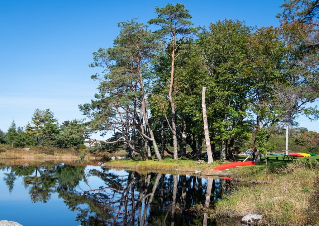 A calm reflective pond surrounded by trees, a red kayak on shore.