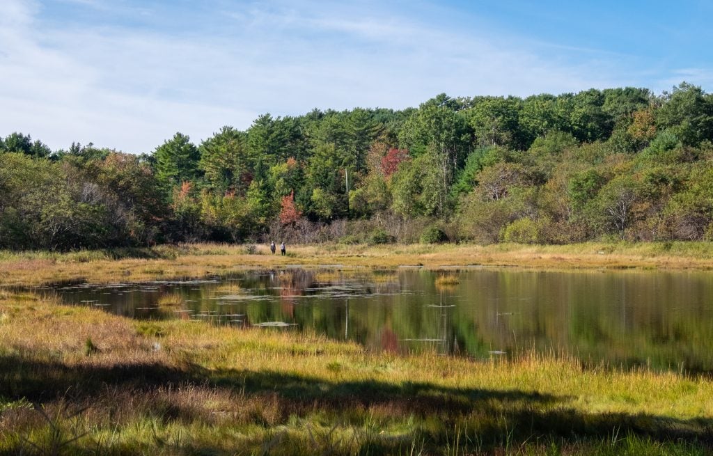 Two men walking around what looks like a bog, some trees in the background starting to turn red.