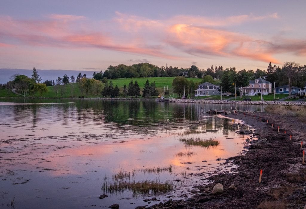 A pink and purple streaky sunset over a calm bay with grass growing out of the water and large houses in the background.