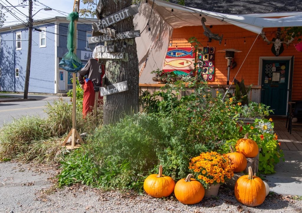 A fall display with pumpkins and chrysanthemums at an outdoor store.